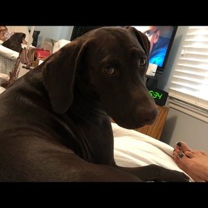 Meet your Posher, Terri